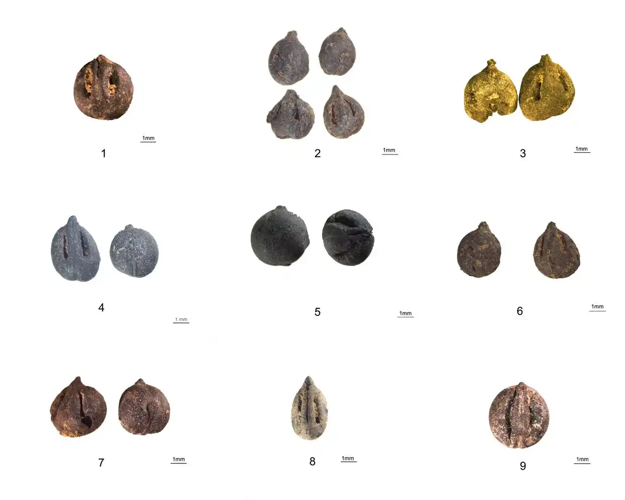 文化遗产保护_科考人员发现1400年前人类活动遗迹_科技考古