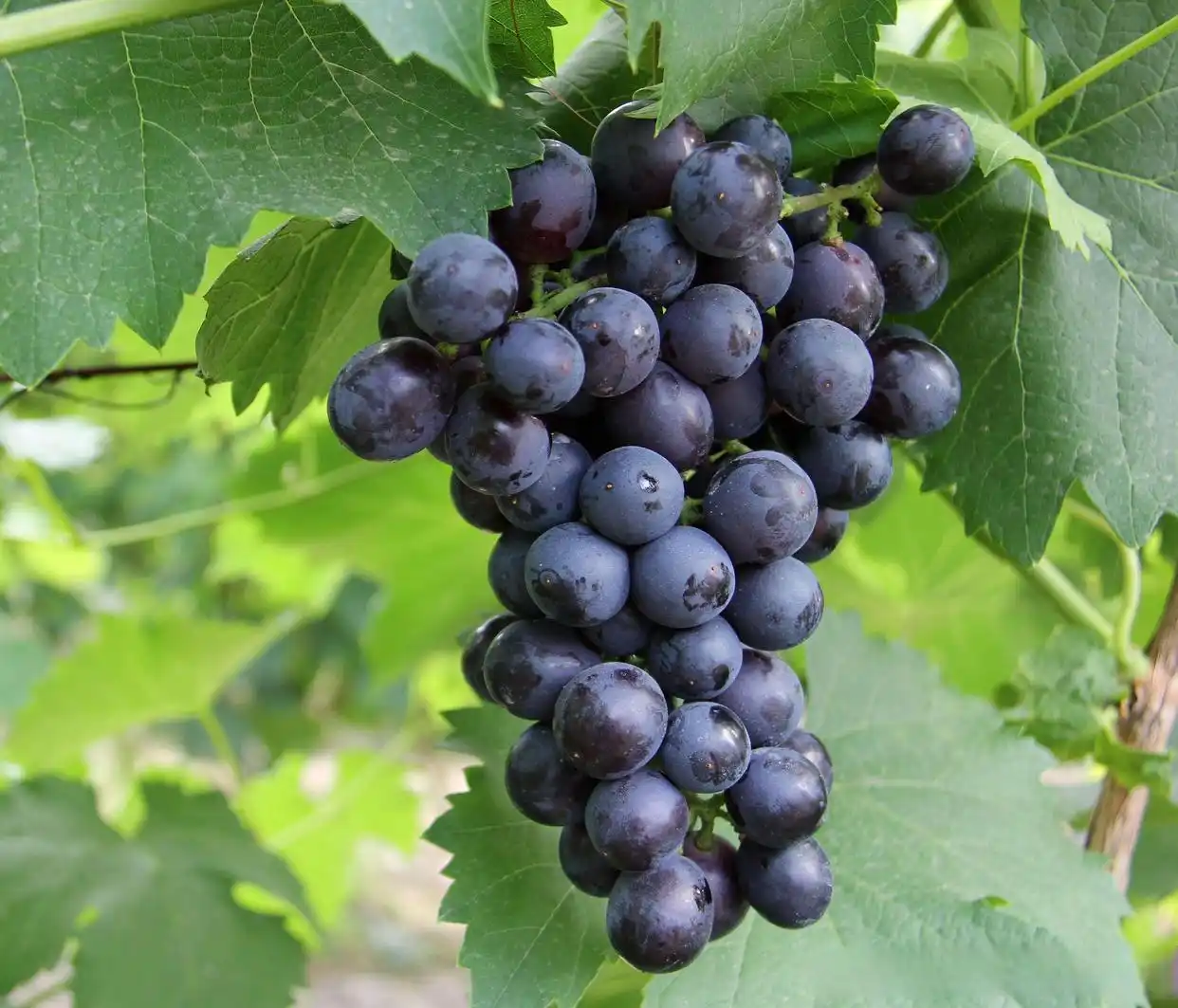 科技考古_文化遗产保护_科考人员发现1400年前人类活动遗迹