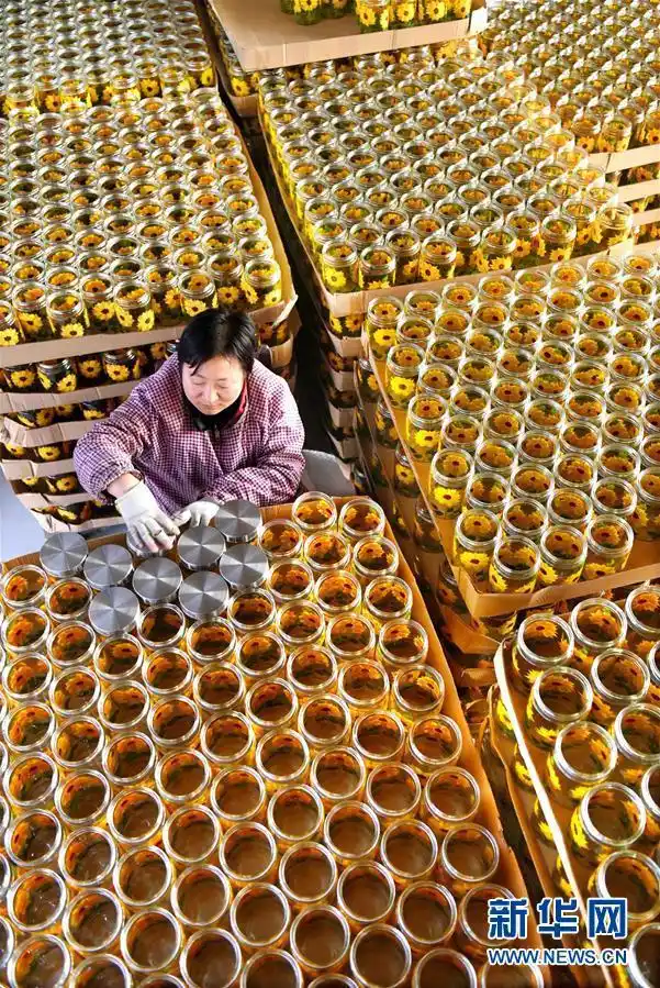 中国发展信心 两会 经济增长政策信号_从一份蓝图 看见中国的明天