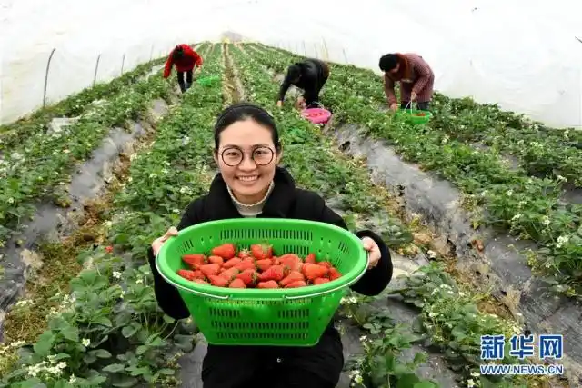 中国发展信心 两会 经济增长政策信号_从一份蓝图 看见中国的明天