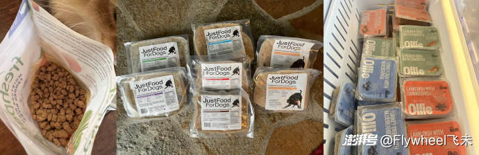 宠物服务机构_宠物鲜食市场趋势_自制宠物鲜食