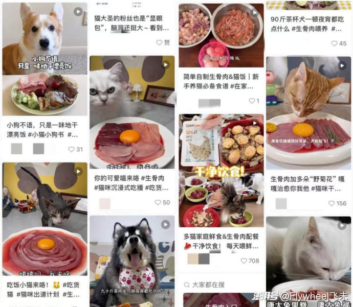 宠物服务机构_宠物鲜食市场趋势_自制宠物鲜食