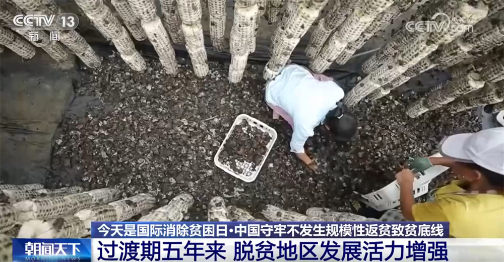 一组组数据映照“稳稳的幸福” 中国守牢不发生规模性返贫致贫底线