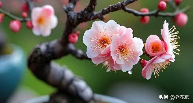 被巧妙安排的人生节点_命运指引的瞬间_时间会证明一切的图片