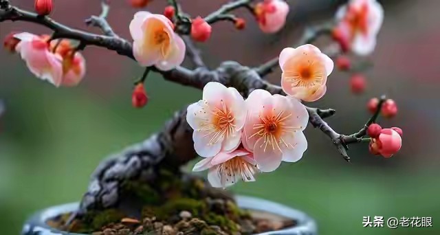 时间会证明一切的图片_命运指引的瞬间_被巧妙安排的人生节点