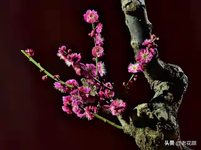 命运指引的瞬间_时间会证明一切的图片_被巧妙安排的人生节点