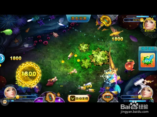 对号入座的捕鱼技巧 千种鱼千种打法