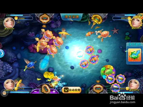 对号入座的捕鱼技巧 千种鱼千种打法