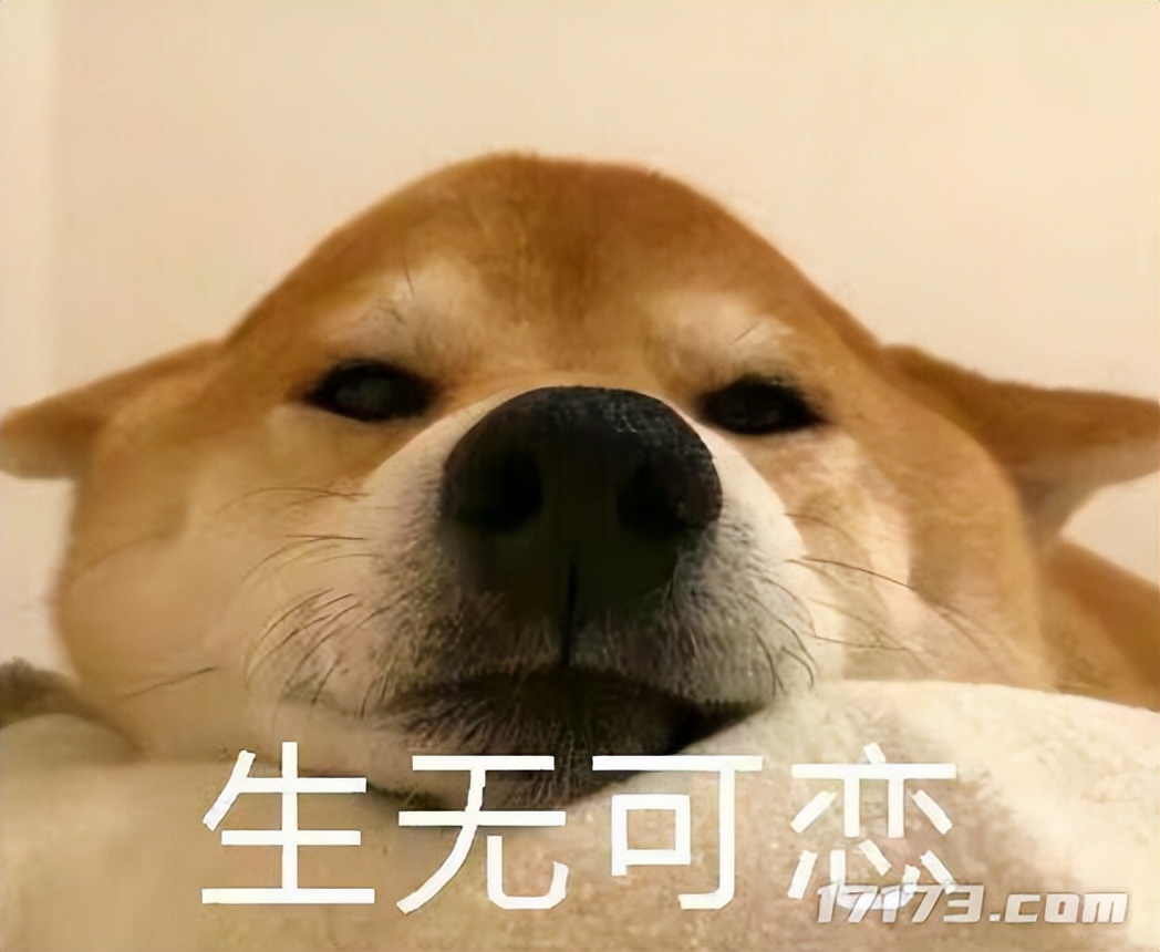 魔兽世界熊猫人之谜评价_魔兽5.0_魔兽世界最差资料片分析