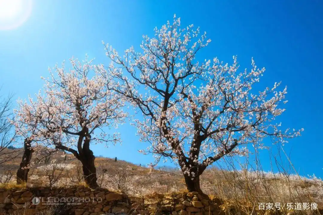 晓露泉_长清区晓露泉_晓露泉旁边的泉