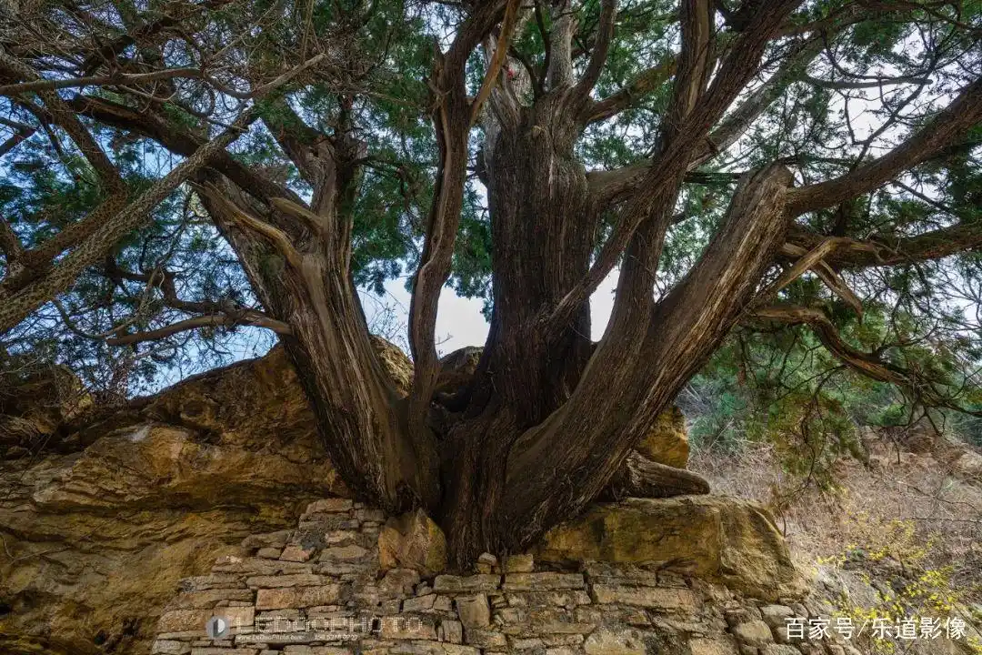 晓露泉旁边的泉_长清区晓露泉_晓露泉
