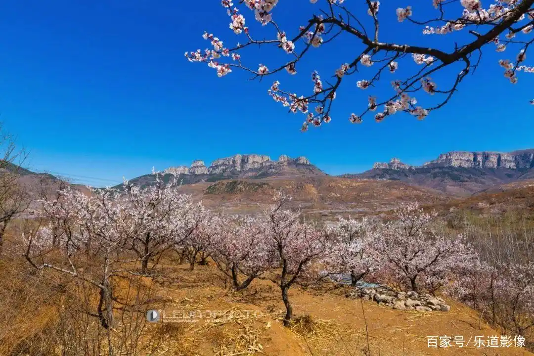 晓露泉_长清区晓露泉_晓露泉旁边的泉