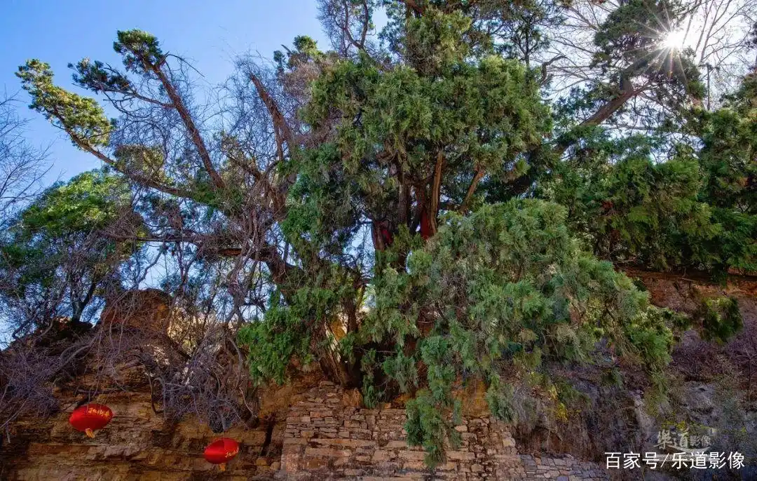 晓露泉_晓露泉旁边的泉_长清区晓露泉