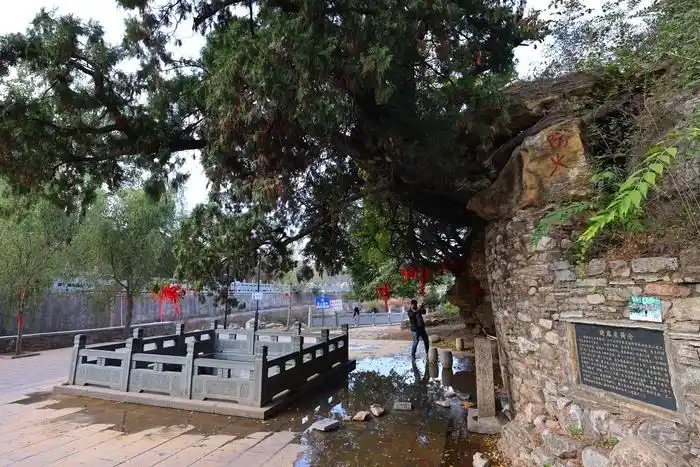 晓露泉旁边的泉_晓露泉济南长清区_晓露泉灵岩寺