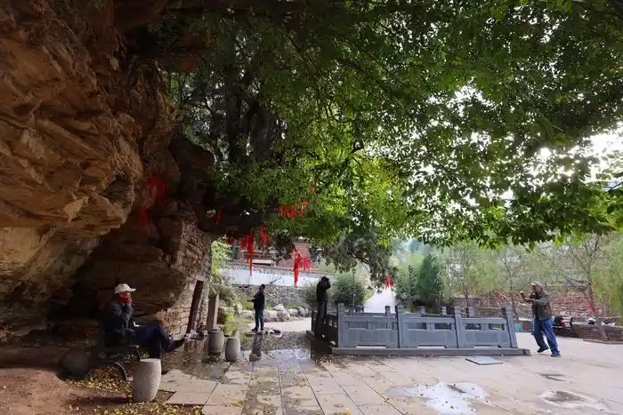 晓露泉旁边的泉_晓露泉济南长清区_晓露泉灵岩寺