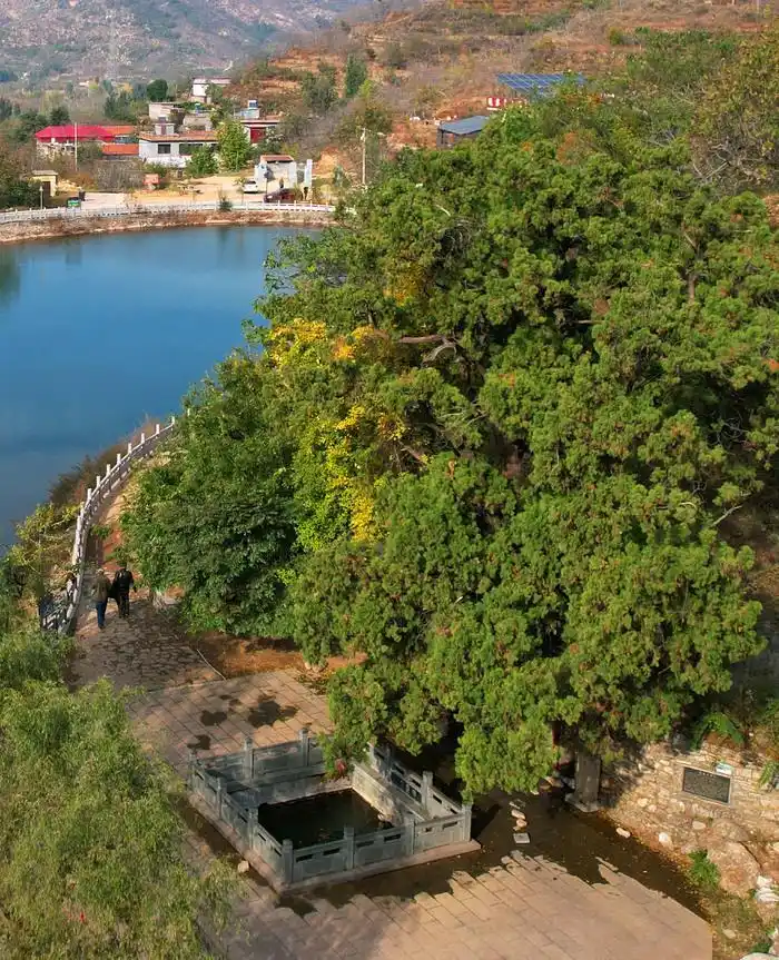 晓露泉济南长清区_晓露泉灵岩寺_晓露泉旁边的泉