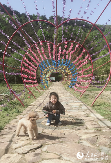 武汉哪里有卖宠物电子项圈_武汉市文明养犬条例_武汉市养犬登记办证率不足7%