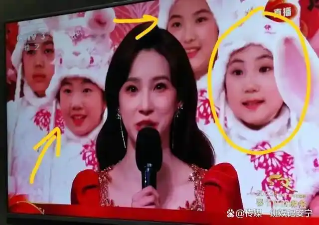 春晚假笑哥_春晚笑脸哥真实身份_央视春晚微笑哥