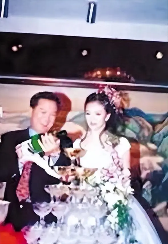 王艳嫁入豪门后的生活_王志才比王艳大多少_王艳豪门婚姻的真相