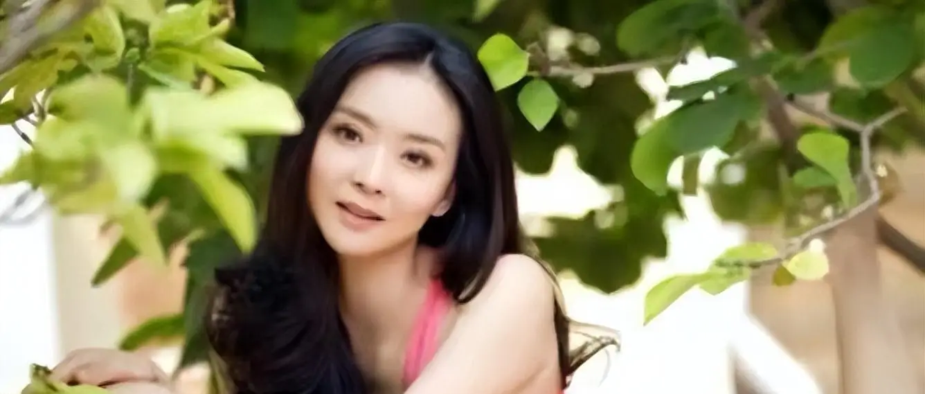 王艳豪门婚姻的真相_王志才比王艳大多少_王艳嫁入豪门后的生活