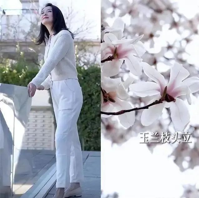 23岁嫁大11岁富豪王志才，如今49岁苦尽甘来？