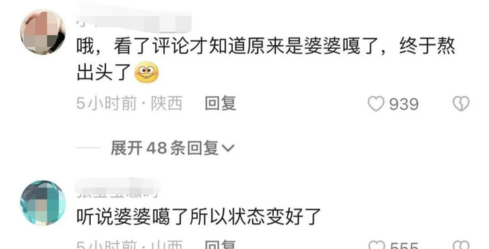 王艳婆婆去世真相_王志才比王艳大多少_王艳豪门生活揭秘