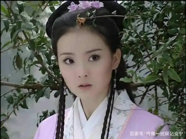 王志才比王艳大多少_王艳婚姻幸福吗_王艳豪门生活