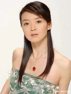 王志才比王艳大多少_王艳婚姻幸福吗_王艳豪门生活