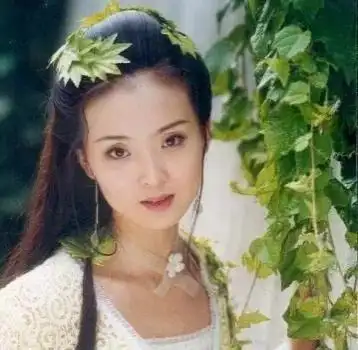 王艳 王志才 婚姻幸福_王志才比王艳大多少