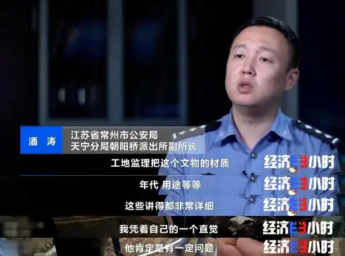 盗掘古墓案件_多名“考古学家”白天考古晚上盗墓_文物犯罪团伙打击