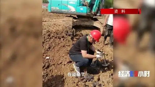 多名“考古学家”白天考古晚上盗墓_文物犯罪团伙打击_盗掘古墓案件