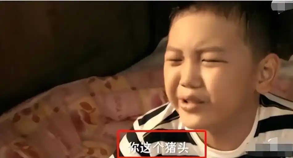 王艳 丈夫 王志才 早年经历_王志才比王艳大多少_王艳 事业 发展历程