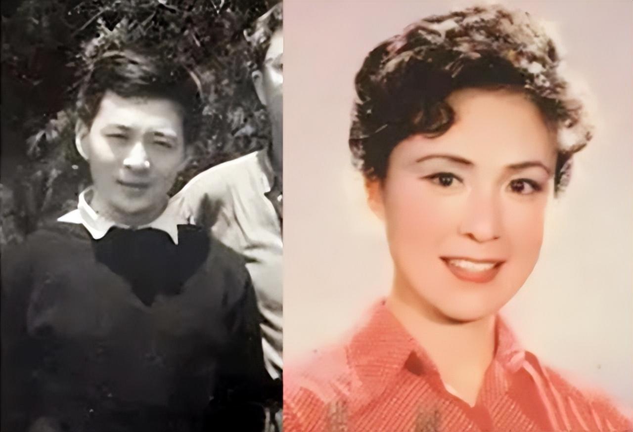 洪融杨延晋儿子_杨延晋 传记 事业爱情经历