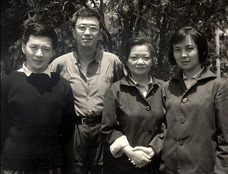 杨延晋 传记 事业爱情经历_洪融杨延晋儿子