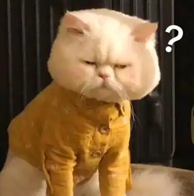 显眼包 现眼包 英文翻译_碰瓷儿英文