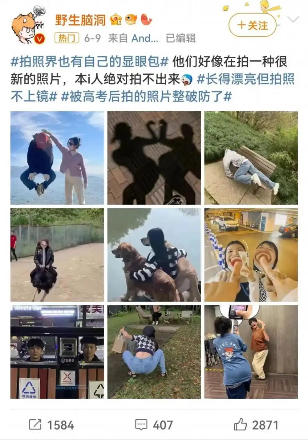 碰瓷儿英文_显眼包 现眼包 英文翻译