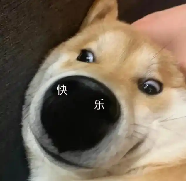 显眼包 现眼包 英文翻译_碰瓷儿英文