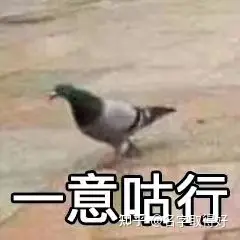 考研联系导师时间_考研导师选择技巧_给导师发几次邮件合适