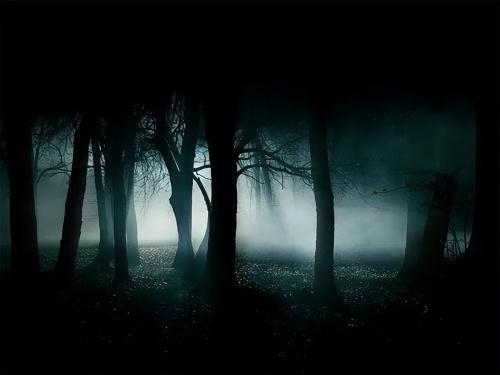 宇宙社会学_阴暗森林_黑暗森林法则