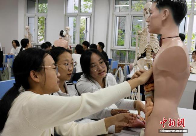 高校里的“带娃”人才是如何炼成的