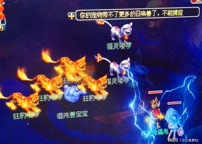 梦幻西游天宫技能_梦幻西游无与伦比新区绿色通道_梦幻西游召唤兽变异捕捉