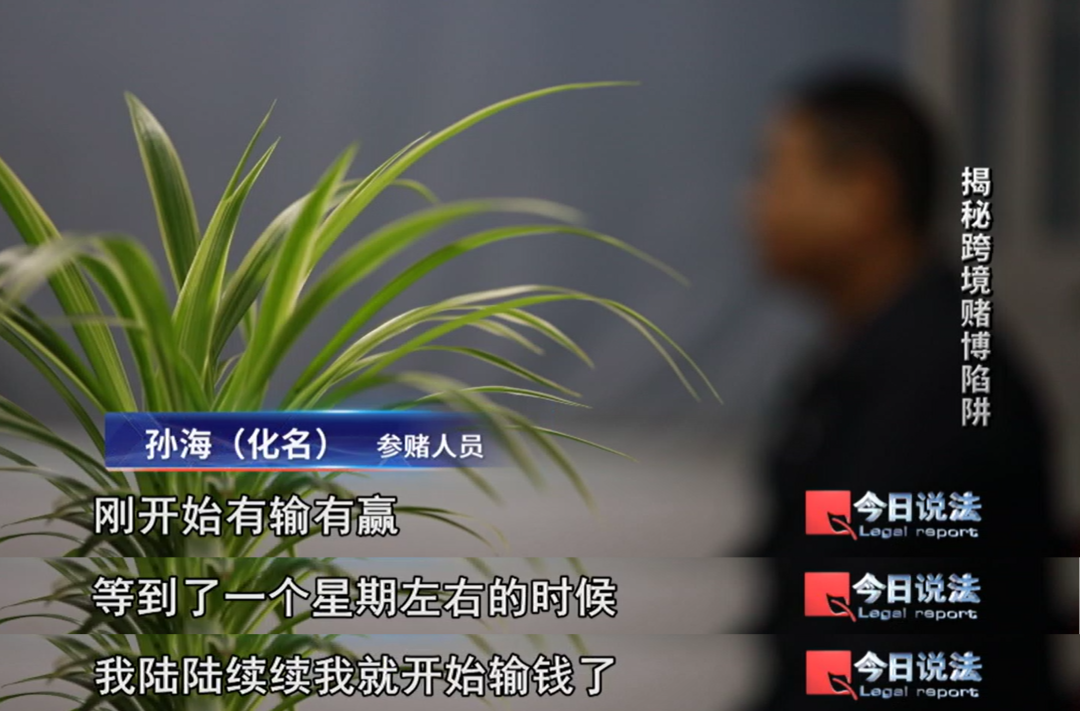 涉案金额超1亿，小小博彩网站背后，是跨境赌博的层层陷阱