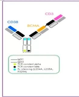 艾伯维IGIISB-2001BD交易_igi2_恒瑞SHR9539三特异性抗体估值
