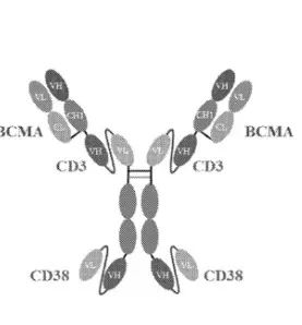恒瑞SHR9539三特异性抗体估值_艾伯维IGIISB-2001BD交易_igi2