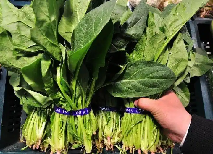 焯水不是简单煮一下！这6类必须焯水的食材，你可能一直都没焯对