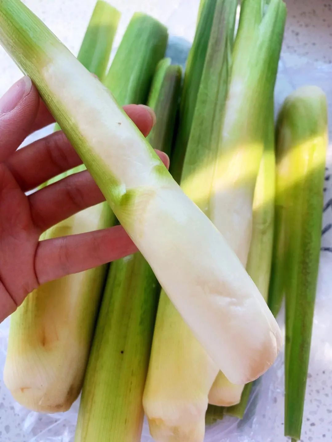 焯水技巧_哪些食材需要焯水_这6类必须焯水的食物要知道