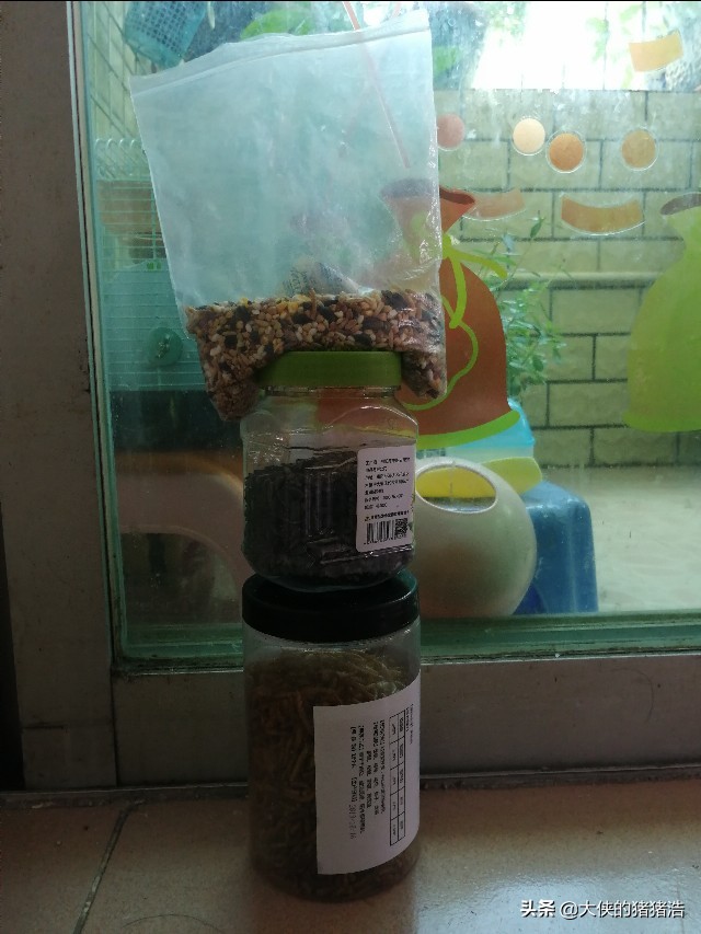 仓鼠失踪原因 下水道寻找仓鼠 悲伤的仓鼠离去_仓鼠不喝水会死吗