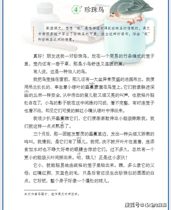 五年级语文核心知识点梳理_2025新统编版五年级语文上册电子课本_五年级上册语文课文书