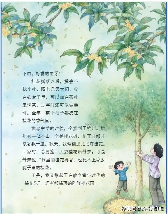 2025新统编版五年级语文上册电子课本_五年级语文核心知识点梳理_五年级上册语文课文书