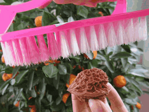 华佗五禽戏_用什么洗澡可以减肥_古代减肥方法